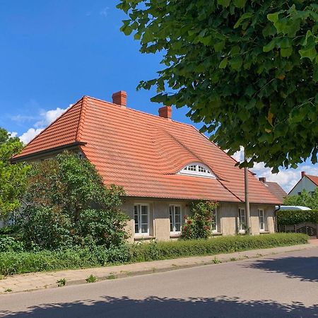 Ferienwohnungen Klein Kapelle Gingst Εξωτερικό φωτογραφία